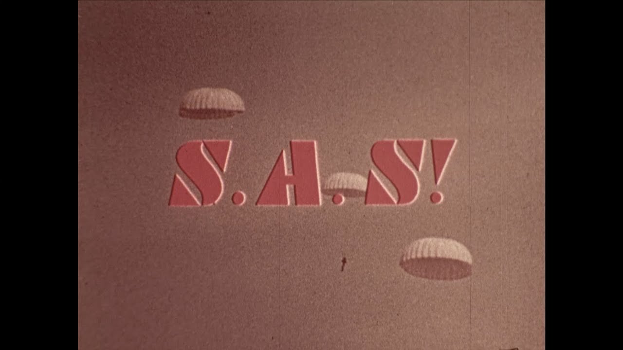 Австралийский специальный авиаполк (1971)