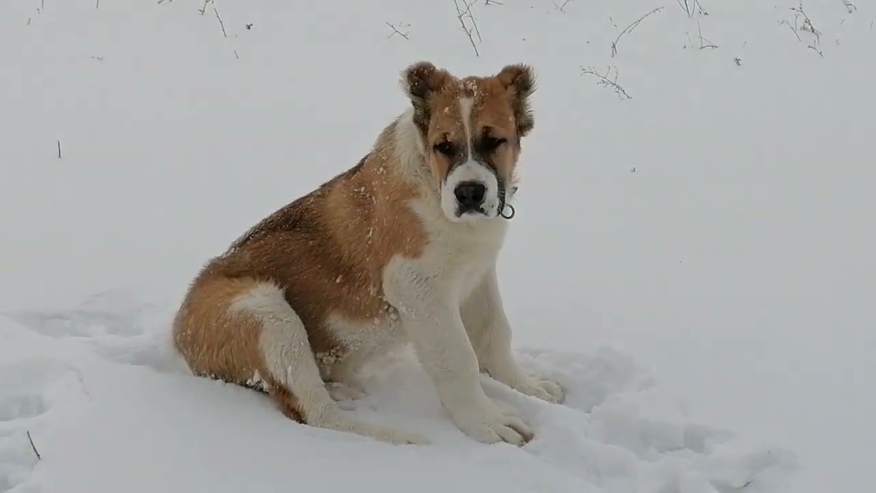 8 лютого 2026 р.