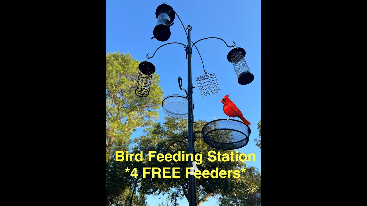 Bird Feeding Station includes 4 FREE bird feeders, multiple hooks and trays