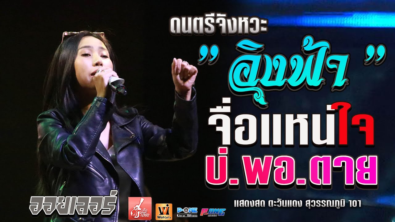 จื่อแหน่ใจ I บ่พอตาย #ดนตรีจังหวะ 