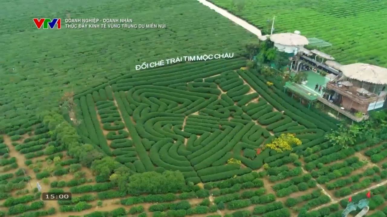 Tỉnh Sơn La thúc đẩy kinh tế trung du miền núi | Sơn La