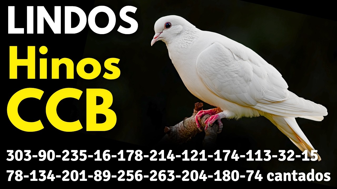 HINOS CCB 303-90-235-16-178-214-121-174-113-32-15-78-134-201-89-256-263-204-180-74 cantados