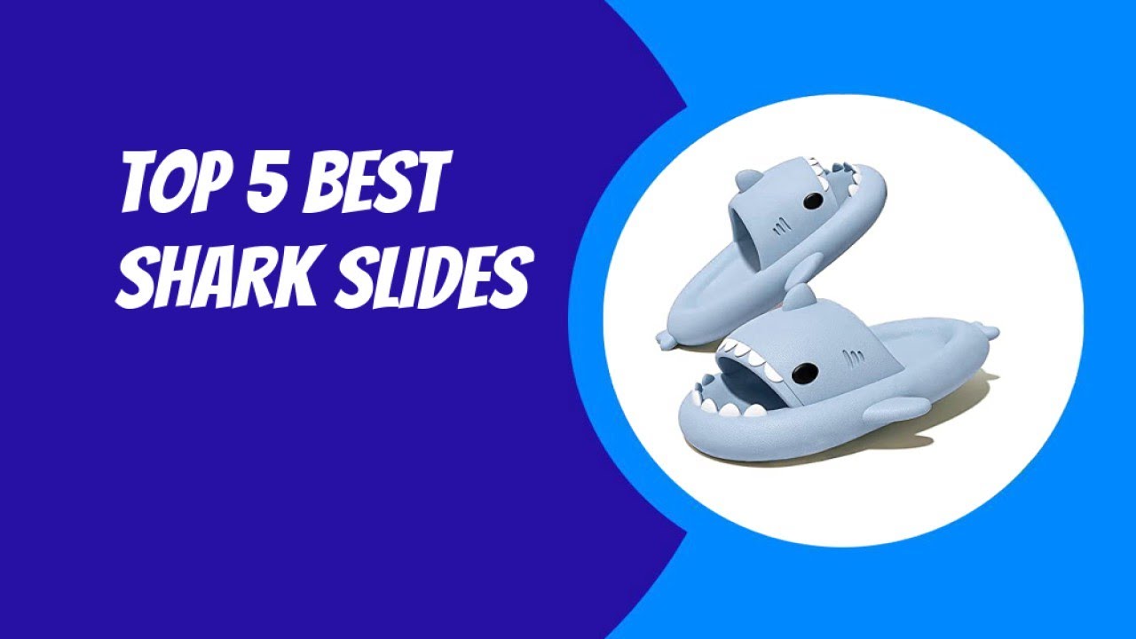 Top 5 Best Shark Slides 2023