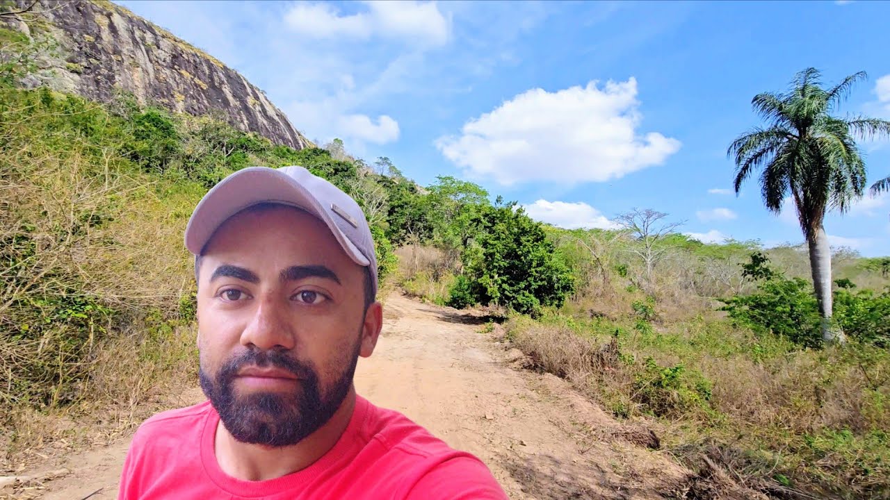 Um grande sitio de jaca no agreste da paraiba 