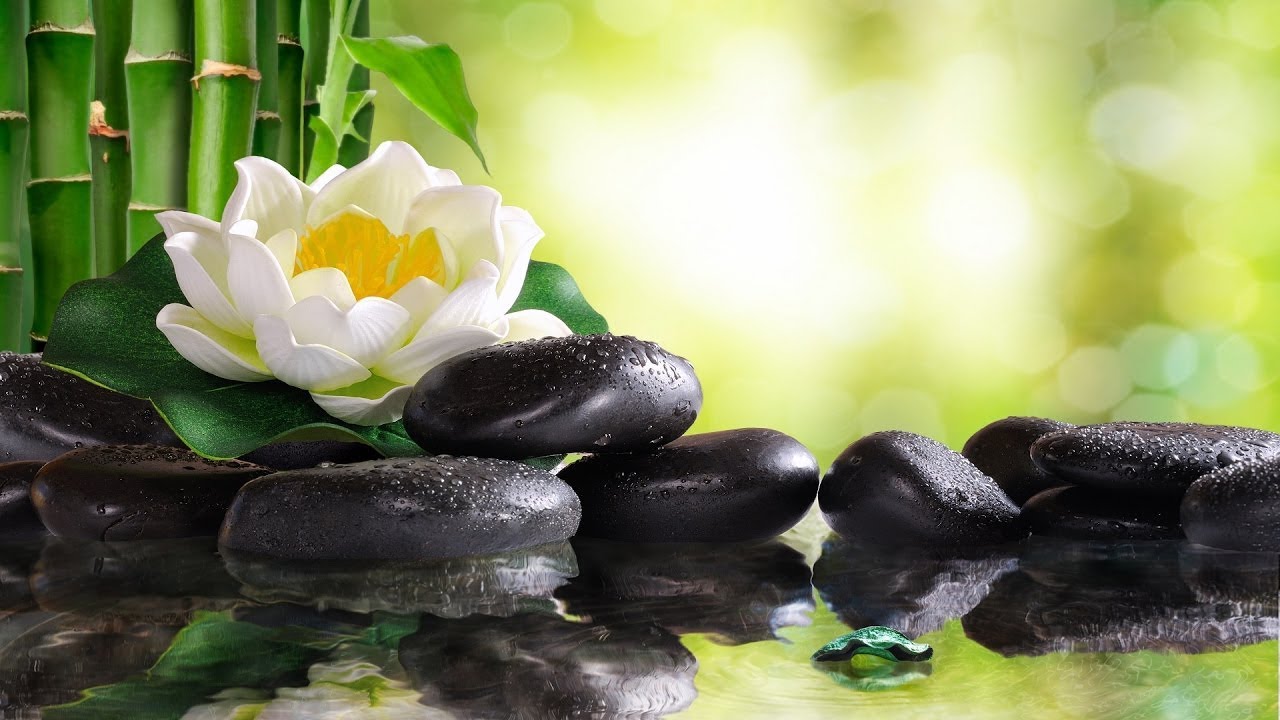 8 Hours of Soft Sleep Music &bull; Relaxing Piano Music, Deep Sleeping Music, Meditation Music #102