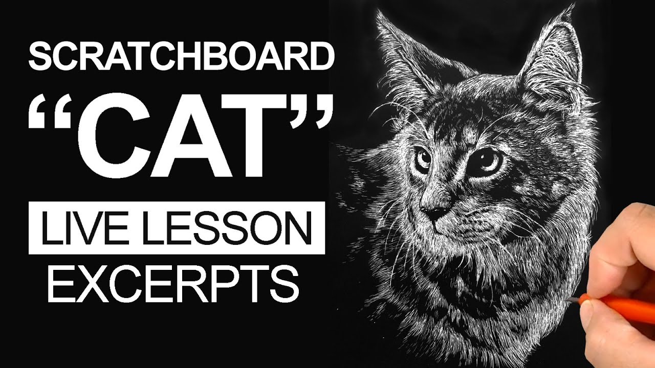 Scratchboard Art Lesson - Cat