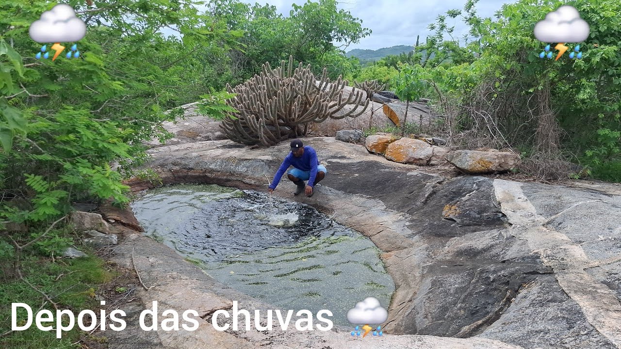 Depois das chuvas ⛈️ os tanques da caatinga estão todos cheios 🙏
