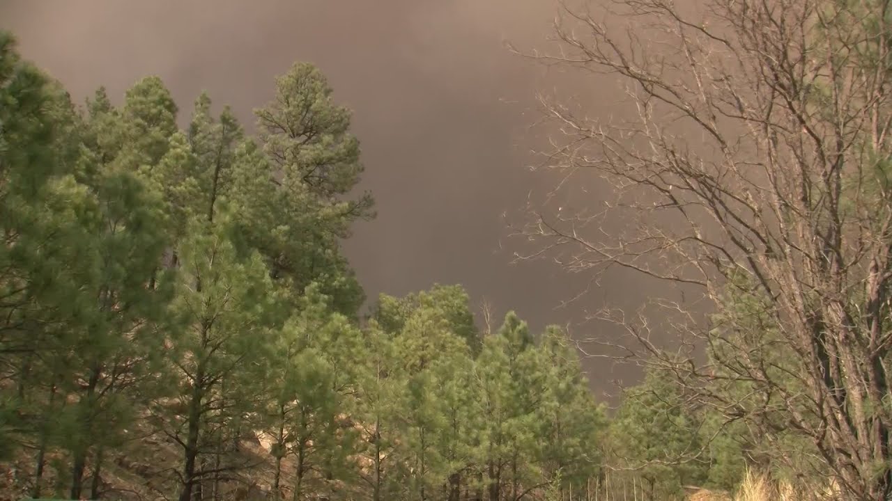 Families face tough decisions as Hermits Peak Calf Canyon Fire grows