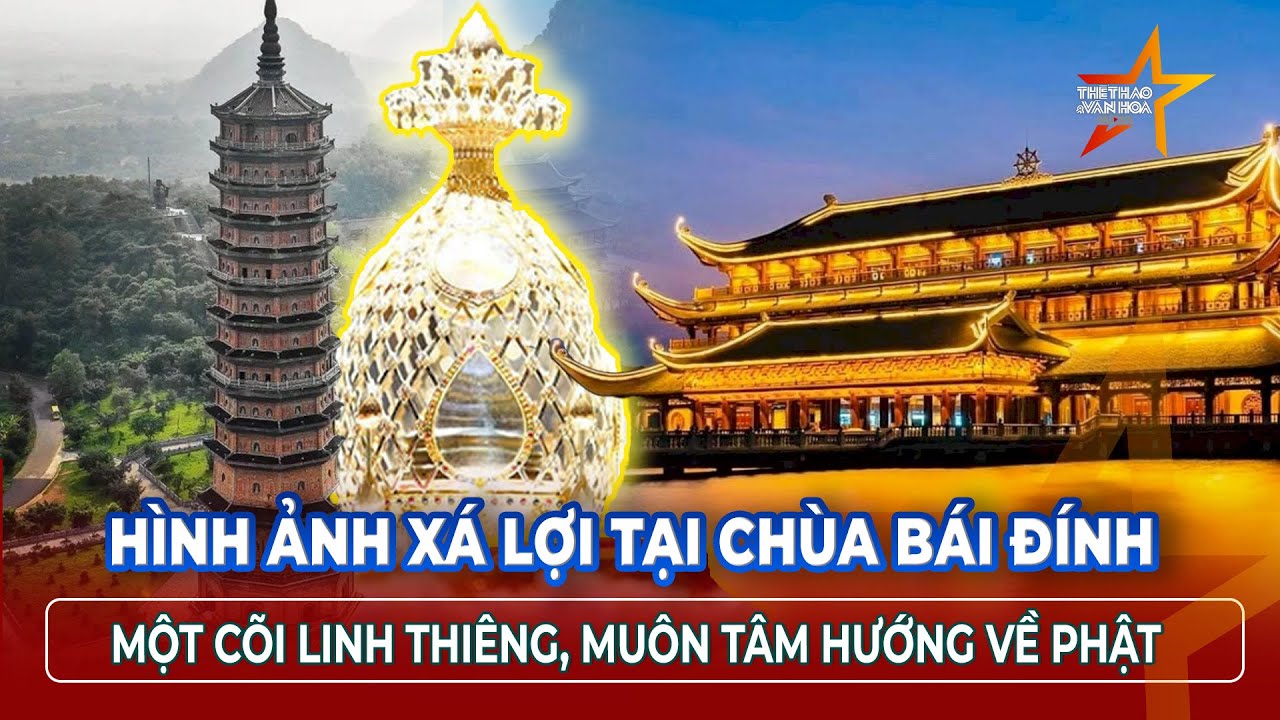Nghi lễ đầu tiên khi XÁ LỢI PHẬT về đến chùa Bái Đính - Ninh Bình | TTVH