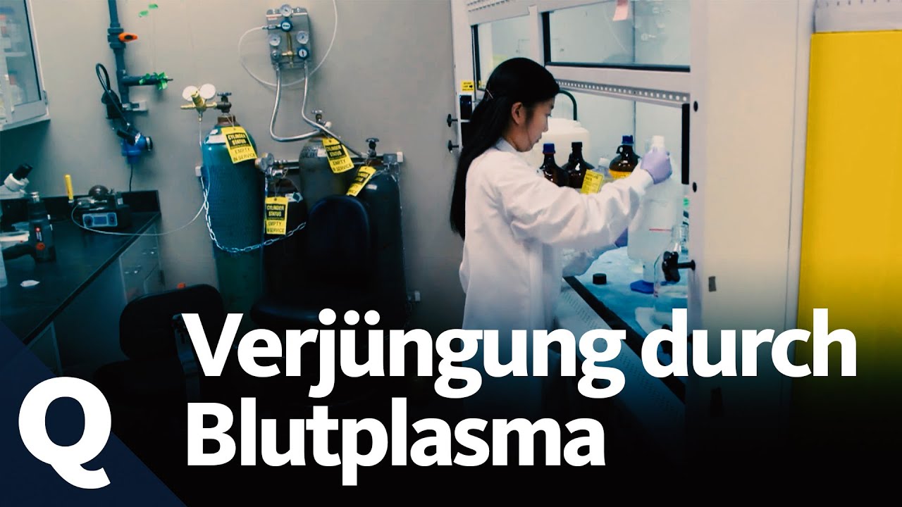 K&ouml;nnen Proteine im Blutplasma das Altern r&uuml;ckg&auml;ngig machen? | Quarks