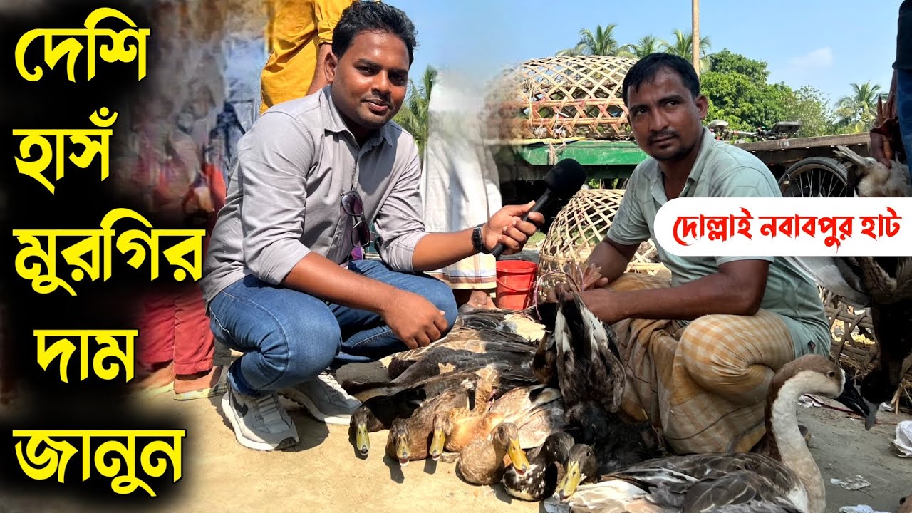 হাঁস মুরগির বাচ্চার দাম জানুন | নবাবপুর হাট থেকে রাজহাঁস চিনা হাঁস দেশি মুরগির দাম জানুন |