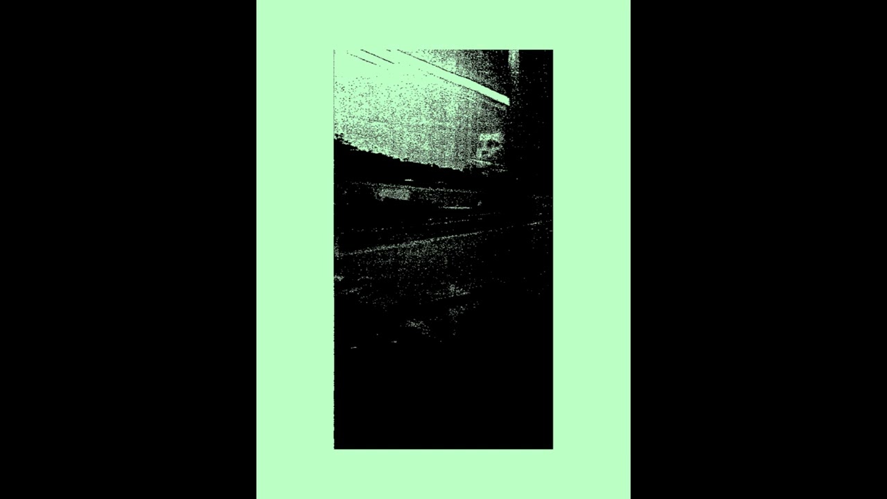 PELLUCID CROPS - 