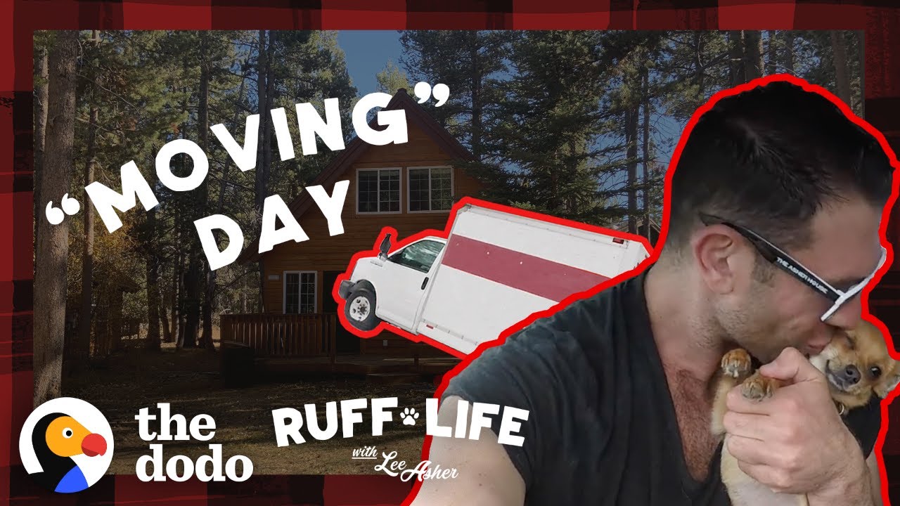 The Pack Moves Into A New House During A Blizzard | Ruff Life With Lee Asher