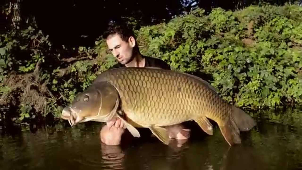 Pêche de la carpe - Nuit à l'arrache en gravière [HD]