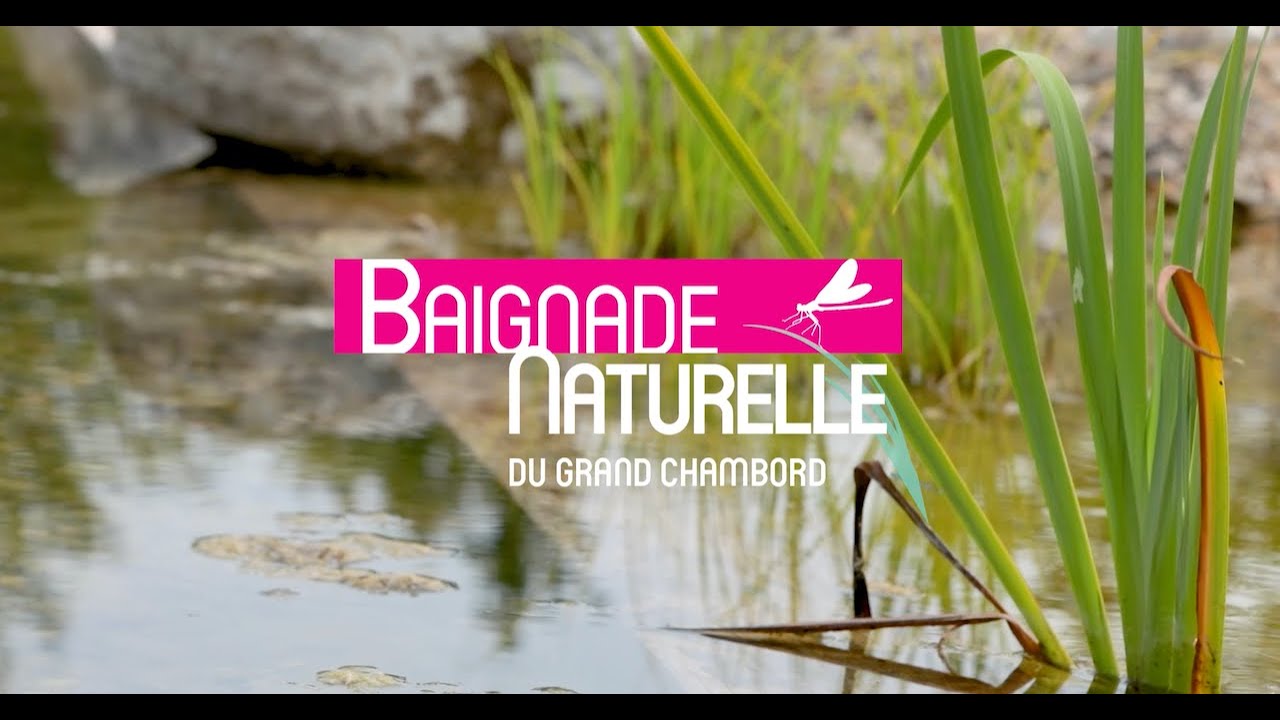 Baignade Naturelle du Grand Chambord (41)
