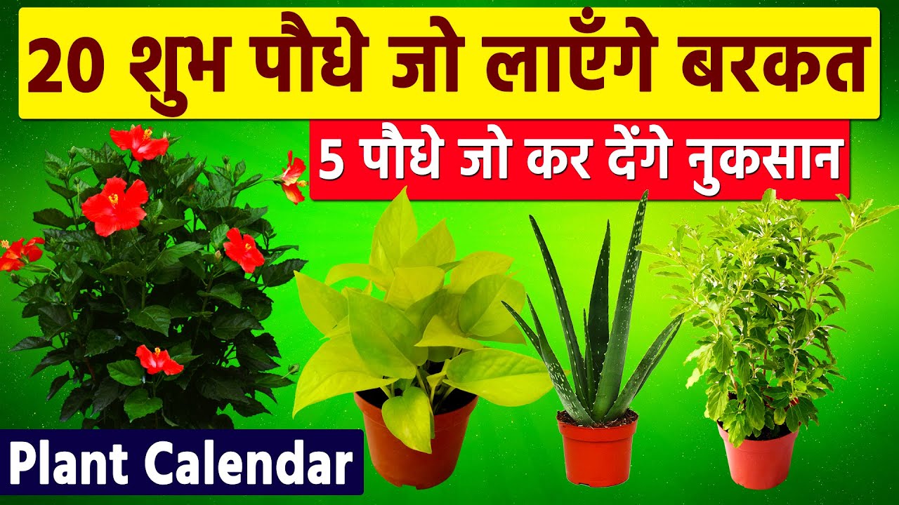 घर में कौन सा पौधा लगाना शुभ होता है और कौन सा अशुभ | 20 पौधे जो बदल देंगे आपकी किस्मत | Vastu | GS1