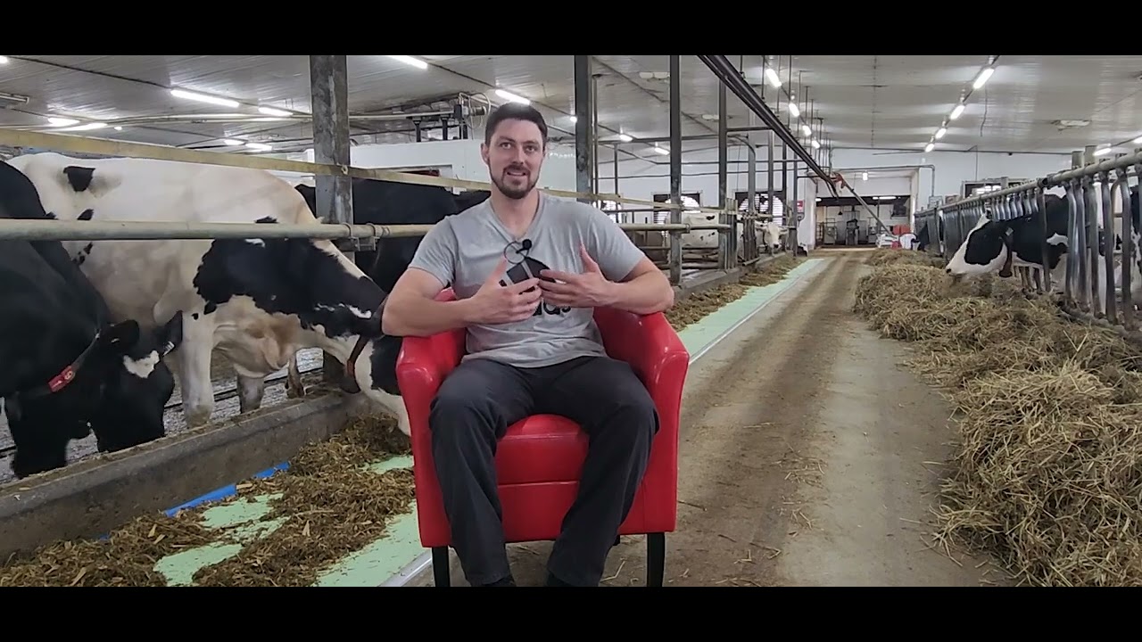 On se paye la traite - Saison 3, E03 - Ferme M B  Pelletier