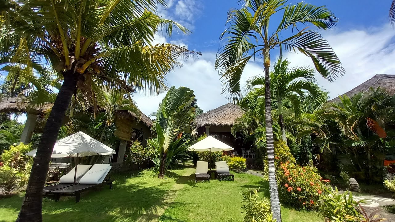 Bali 1, 2023