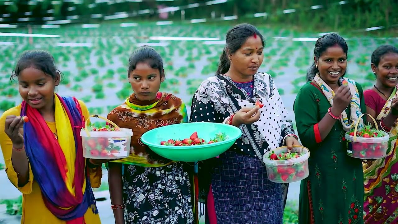 Sweet Success: Strawberry Farming Unveiled in Jharkhand's Countryside!