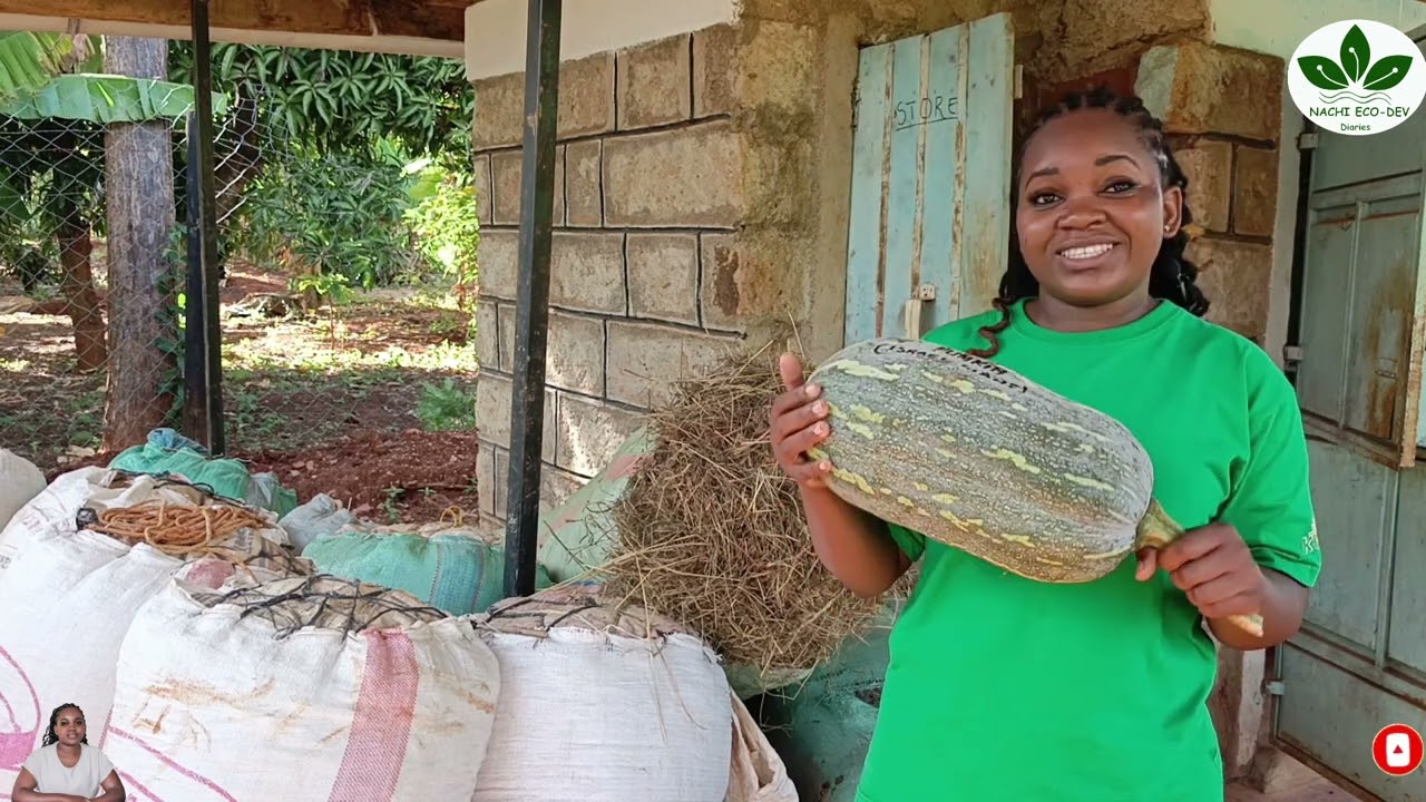 🔥🔥Agroecology:🌧️ The future 🍒of farming through sustainable agriculture 🪴🌴🌽