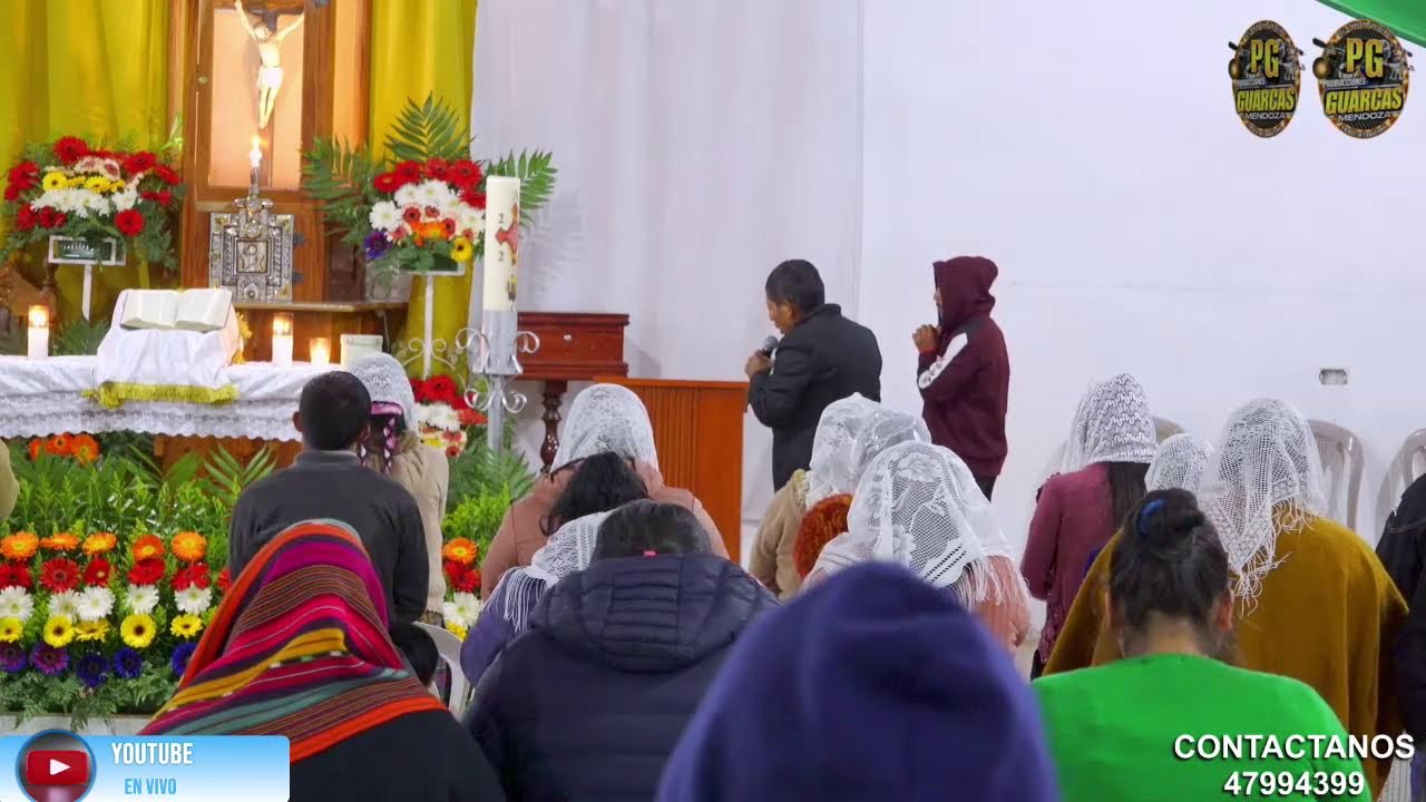 TRANSMISONE EN VIVO