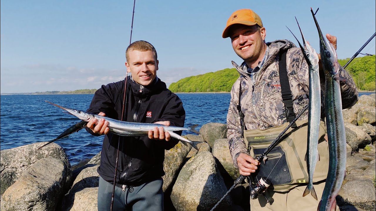 LIVE Coronafisketur med Rasmus Brohave og Gordon P. Henriksen (Episode 2, Hornfisk)
