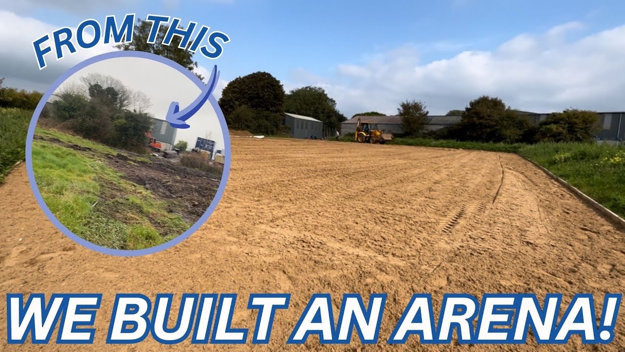 WE BUILT AN ARENA! *childhood dream come true* 🤭