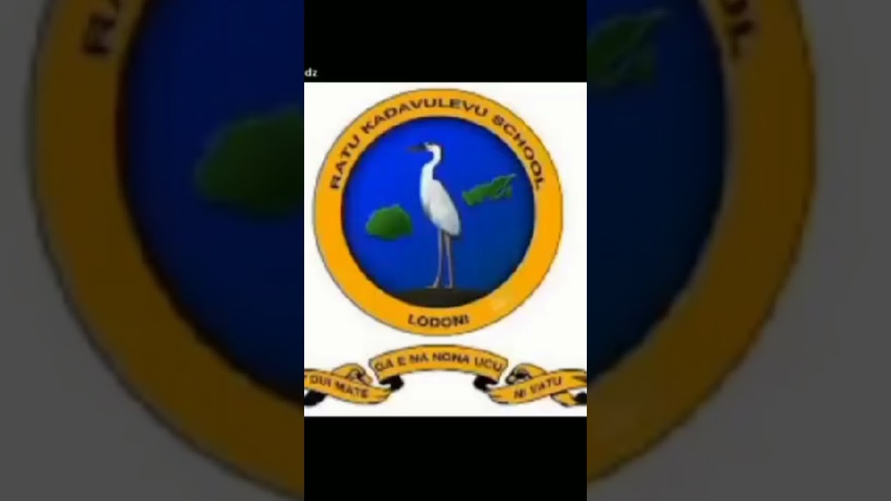 qvs tiktok