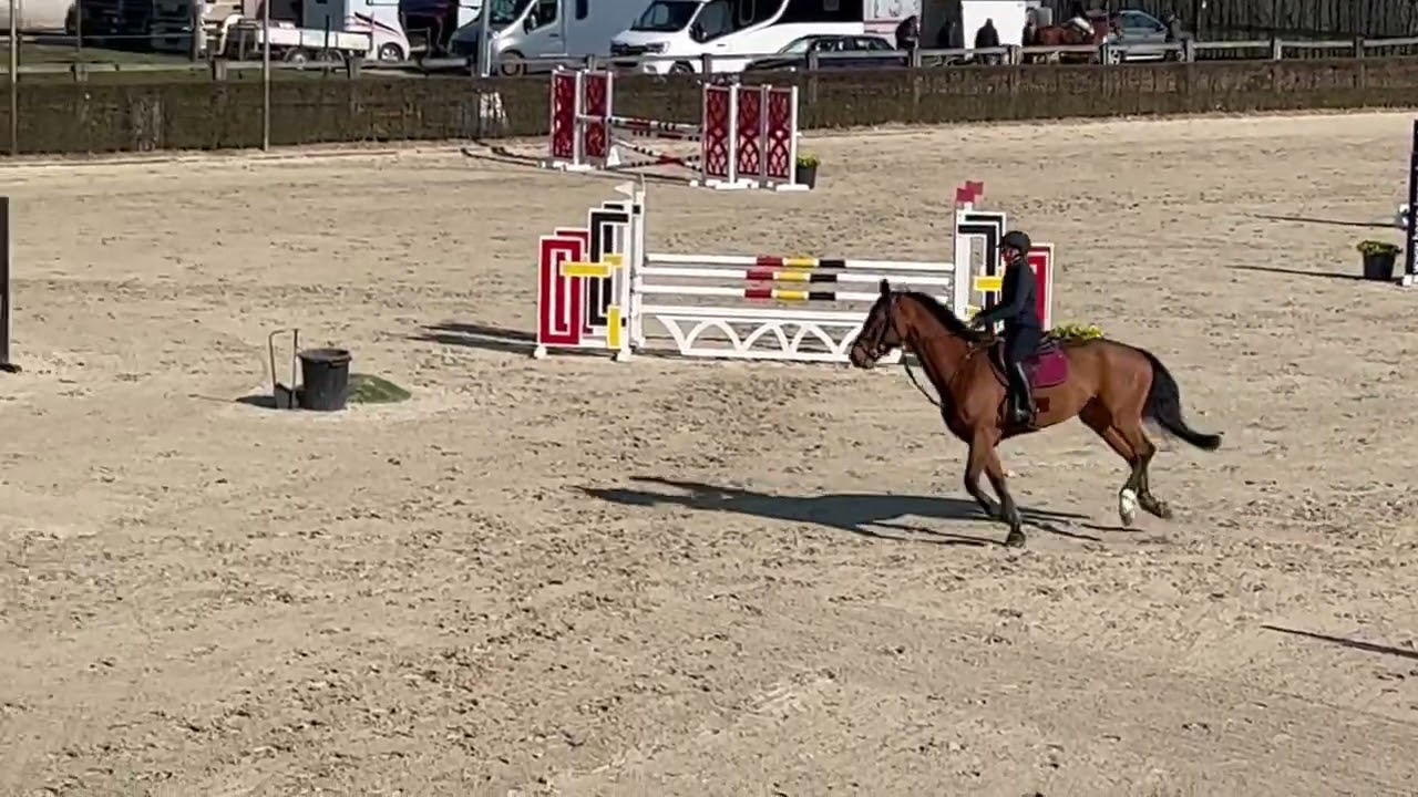 Cassander DDA training 11.12.2022 1m10