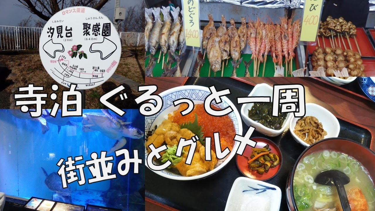 【寺泊】ぐるっと一周　グルメ界隈を満喫