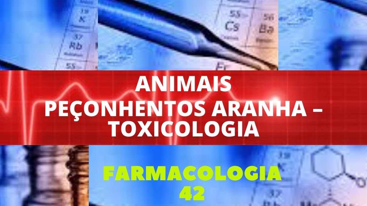 ANIMAL PEÇONHENTO ARANHA – TOXICOLOGIA - FARMACOLOGIA 42