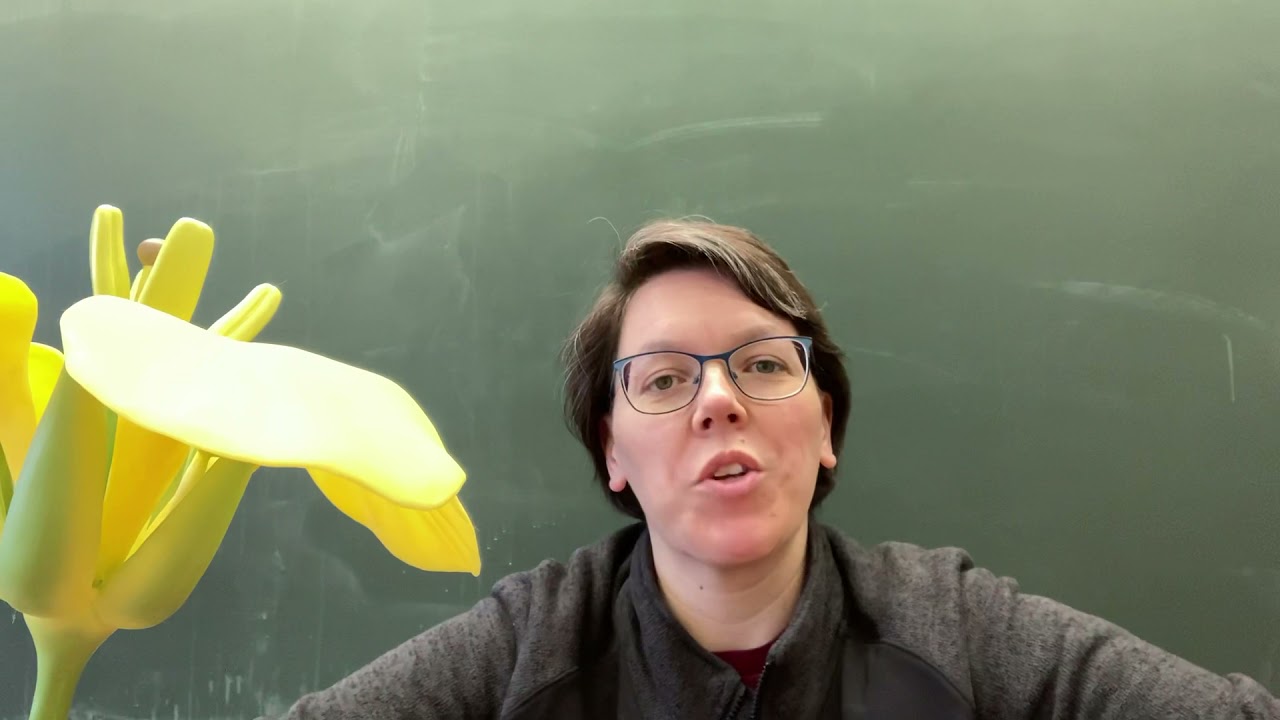 5c Aufbau der Blüte