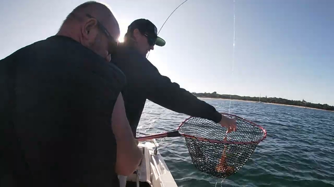 Calamari and King George double on Westernport!