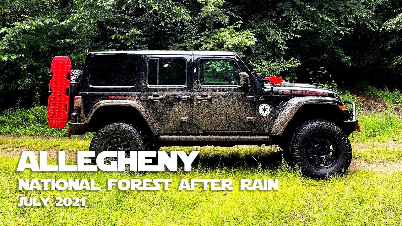 Allegheny National Forest Jeeping After Rain - July 2021