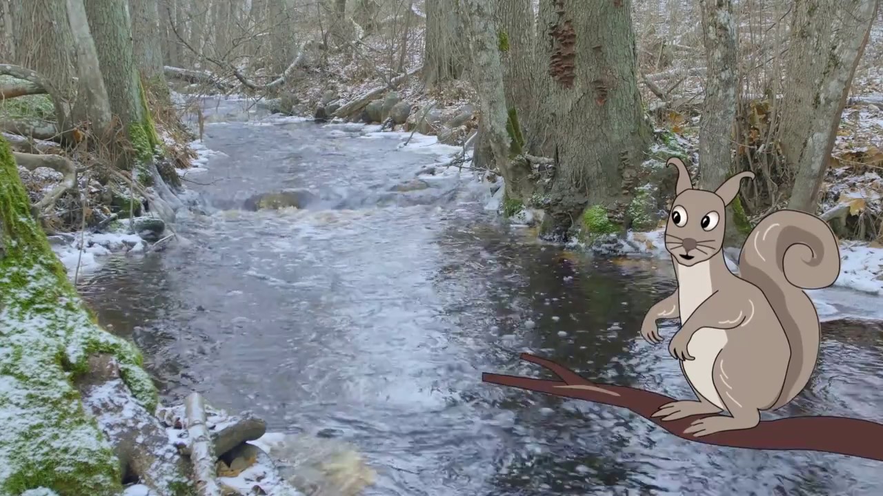 Allt om årstiderna