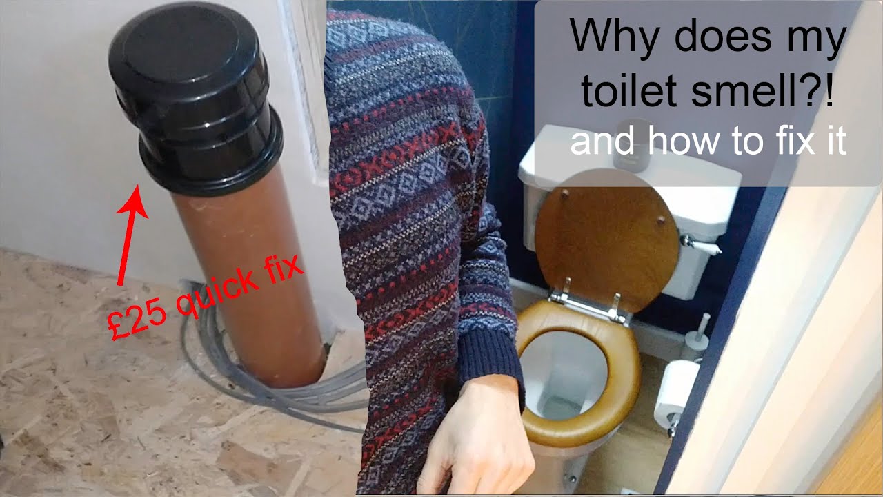 Why does my toilet smell?!