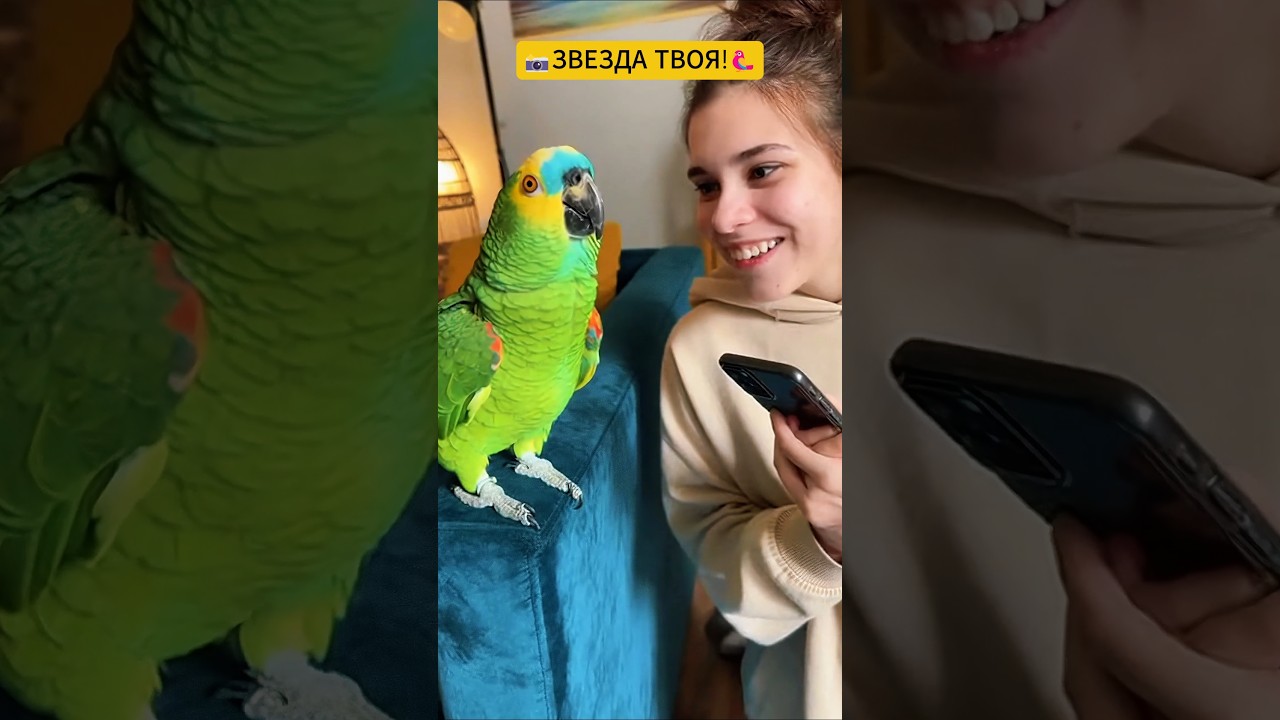Опять снимаешь? Убери зараза камеру!🦜 #юмор #sora2 #viral #funny #попугай
