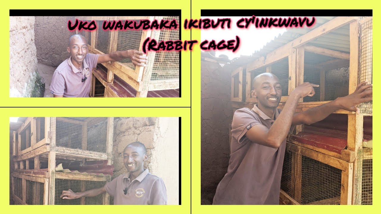 Uko wakubaka ikiraro cg ikibuti cy'inkwavu mu buryo bwa kijyambere(How to build a rabbit cage)