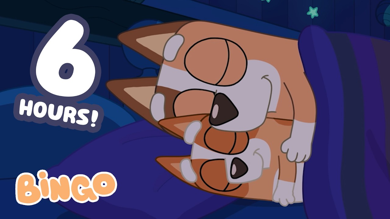 🔴LIVE: Get Ready For Bed! 😴🧡 | 6 Hours Of Calm For Sleep 🌙⭐ | Bingo - Official Channel