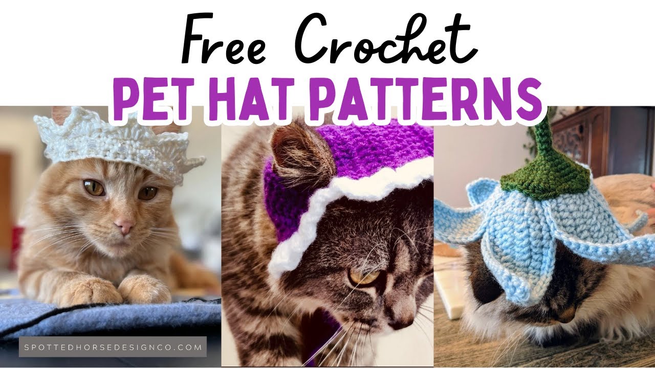 30 FREE Crochet Pet Hat Patterns | Crochet Hats for Dogs and Cats #crochet #freecrochetpatterns