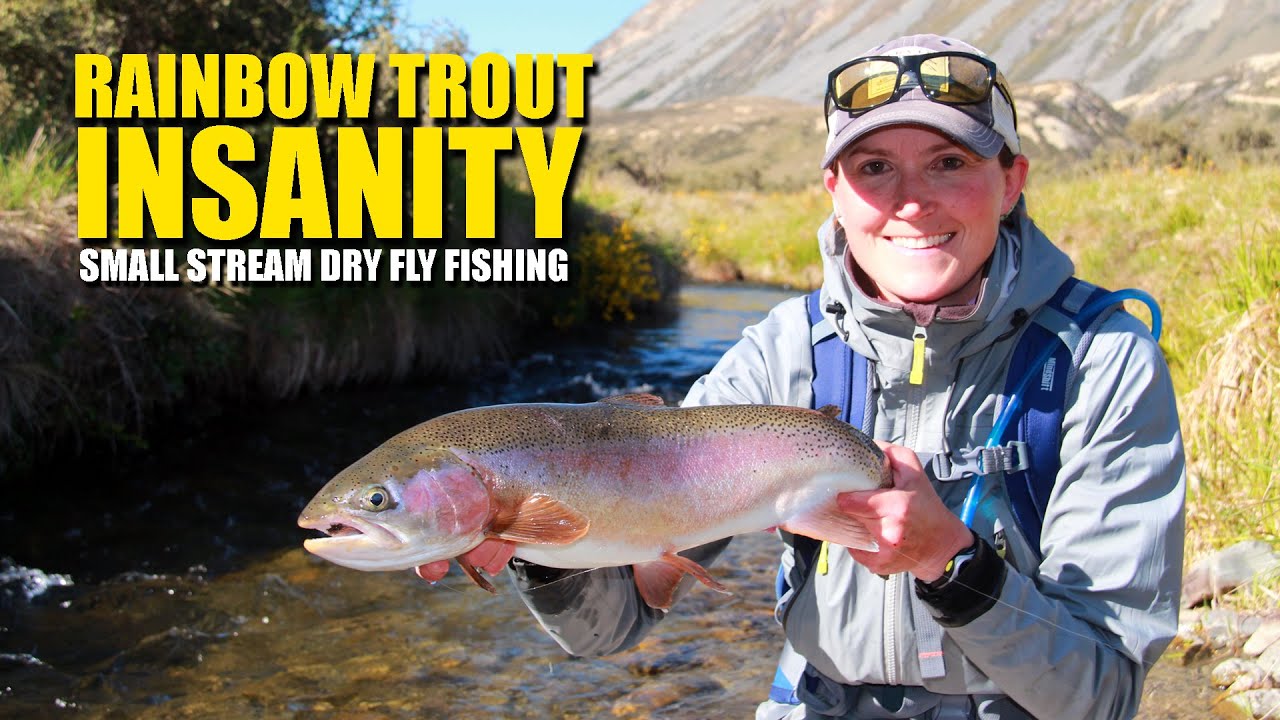 Rainbow Trout Insanity - Small Stream Dry Fly Fishing EPIC