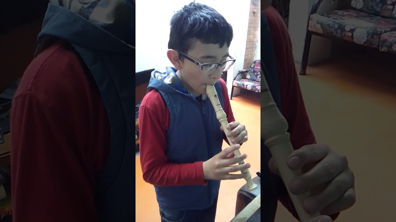Sing Me To Sleep De Alan Walker en flauta dulce/con Notas