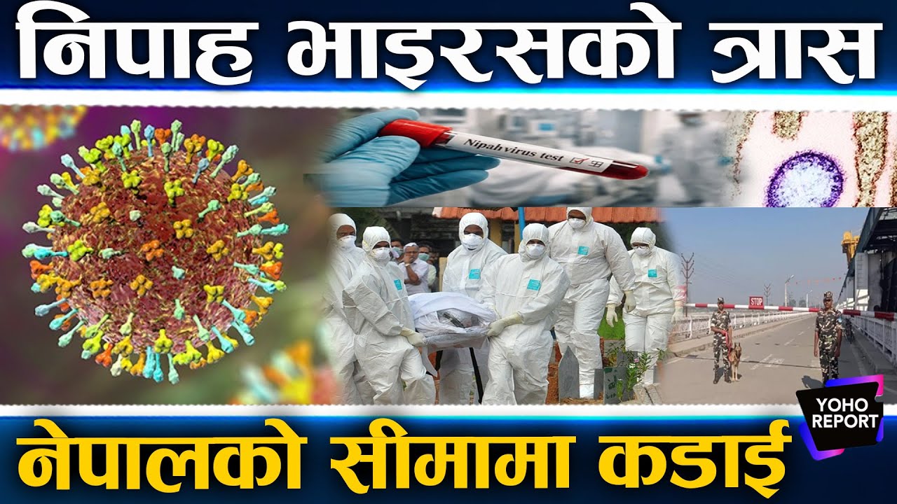 भारतबाट नेपाल छिर्दै निपाह भाइरस, सीमामा गरियो कडाई, थाइल्यान्डमा उच्च सतर्कता, कसरी सर्छ ?