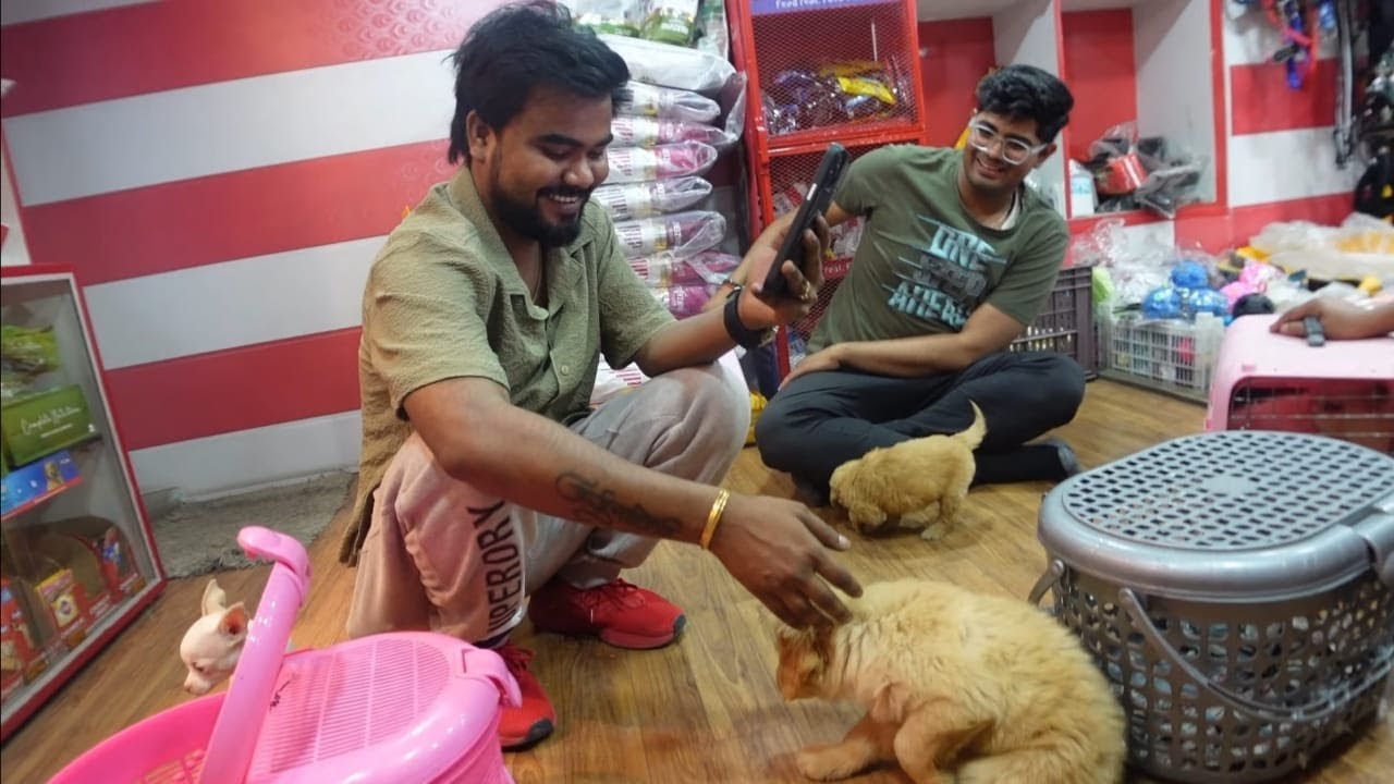 new family member 😍😘 || antaryami vlogs