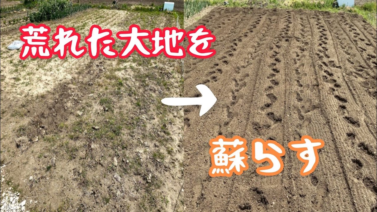 【家庭菜園】畑を耕す！今年もマメトラ君に頑張ってもらうぞ！「Plow the fields in the countryside」