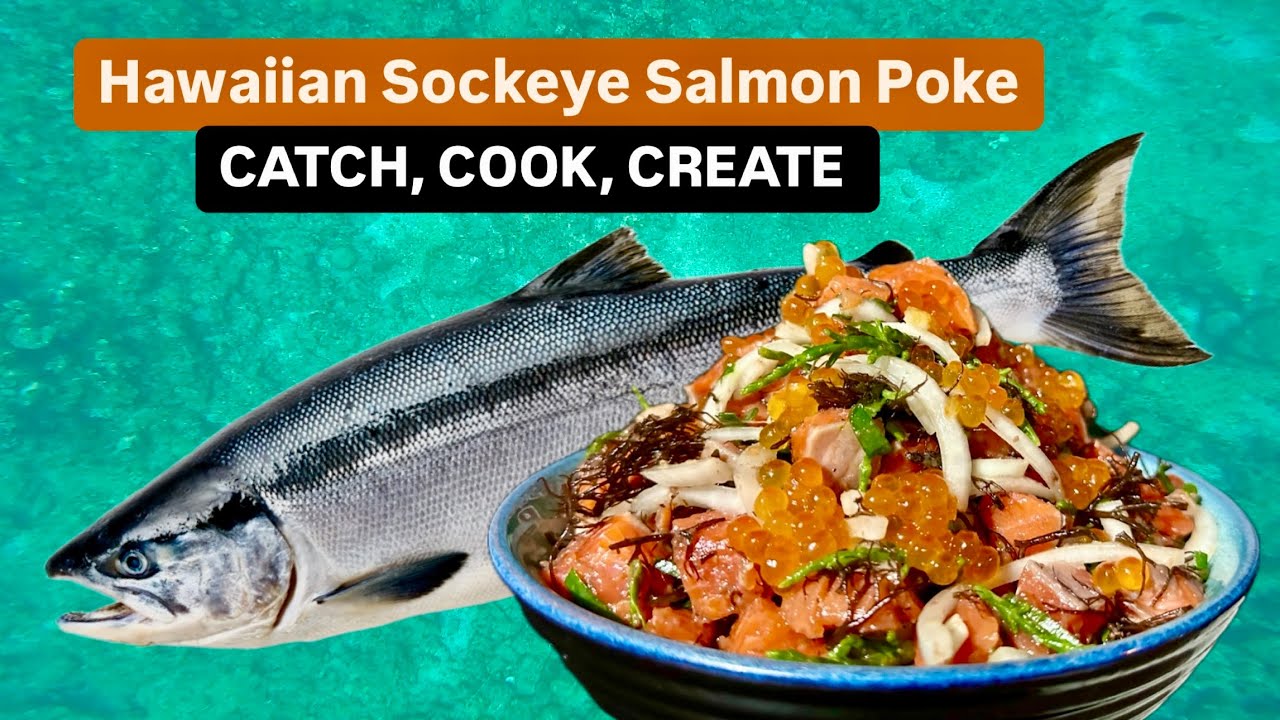 SOCKEYE and COHO Salmon fishing in ALASKA | Catch, Cook, Create