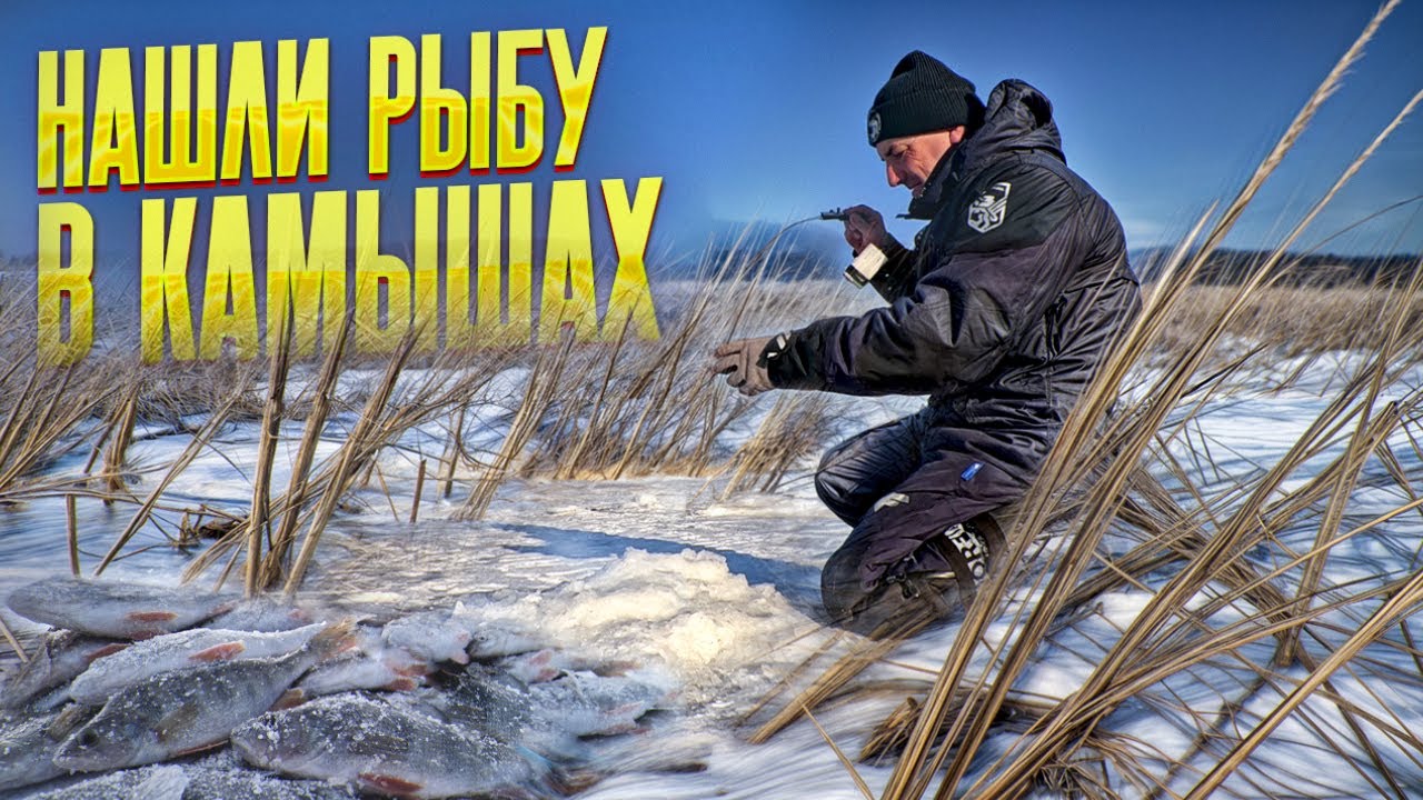 В камышах мелко, а есть вся рыба! Щука, окунь, лещ, сорога! Рыбалка на болоте удалась!