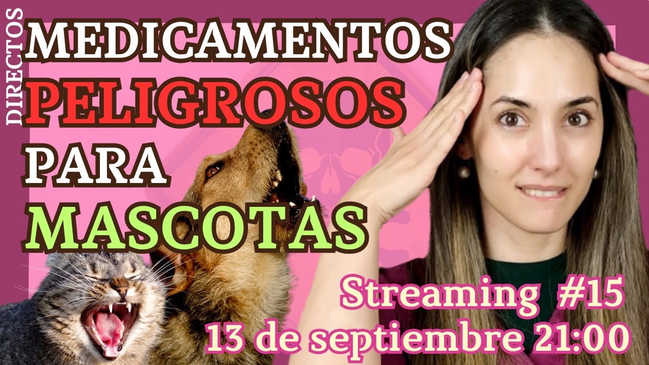 Tu Veterinaria  -Directo 15º-  | | Medicamentos TÓXICOS para perros y gatos