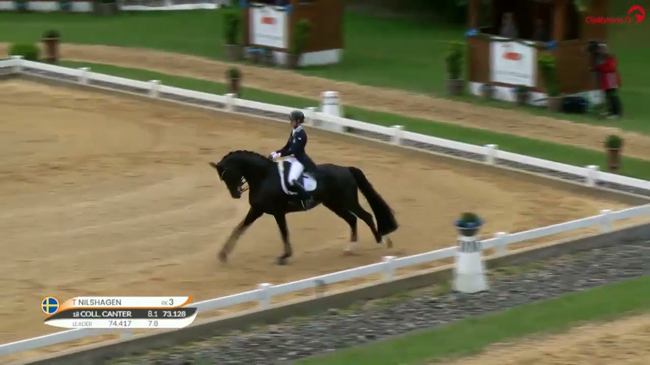 Therese Nilshagen gewinnt mit Dante Weltino OLD den CDI5* Grand Prix Preis! I Pferd Inter München