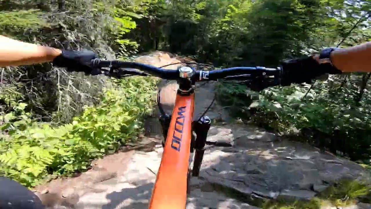 La Piochonne au complet - Le panoramique Chicoutimi